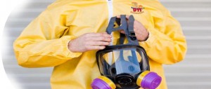 Mold Remediation Chicago