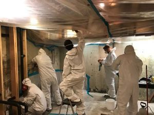 911-restoration-Chicago-Mold Removal