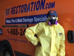 Water Damage Technician